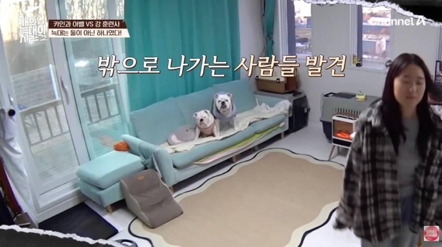 강형욱 프로에서 종종 나오는 개_5.webp