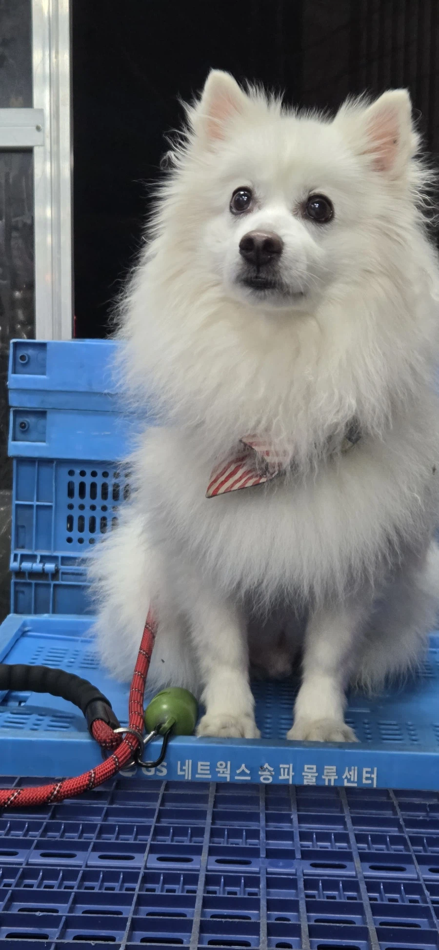 대충 베스트 가고 싶다는 글_3.webp