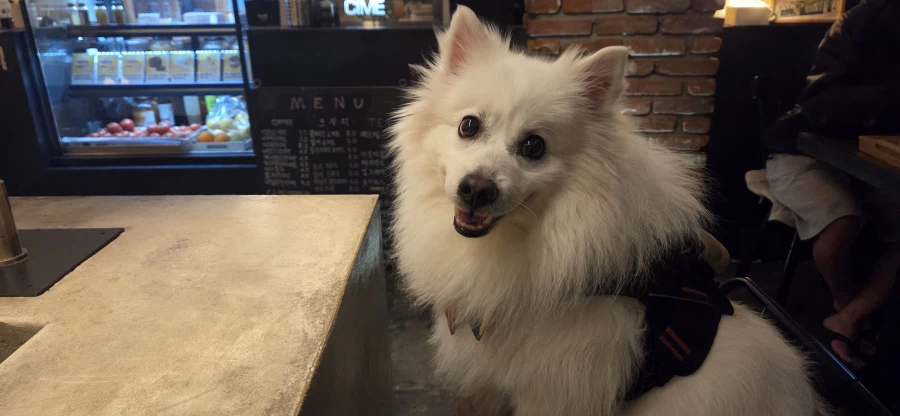 대충 베스트 가고 싶다는 글_5.webp