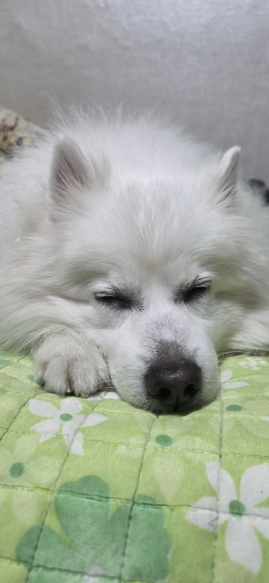 대충 베스트 가고 싶다는 글_7.webp