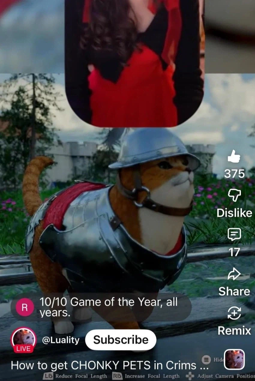 붉은사막 애완동물 갑옷도 입힐 수 있네요_1.webp