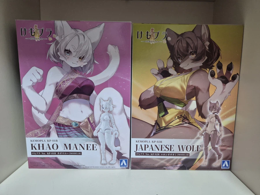 세상에서 제일 건전한 아오시마 케모프라 리뷰_2.webp