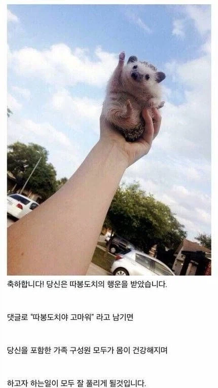 따봉도치가 유게이를 응원합니다!_1.webp