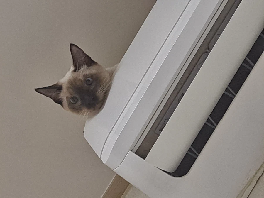 예전에 살던 집 에어컨에는 신박한 기능이 있었다!!!_6.webp