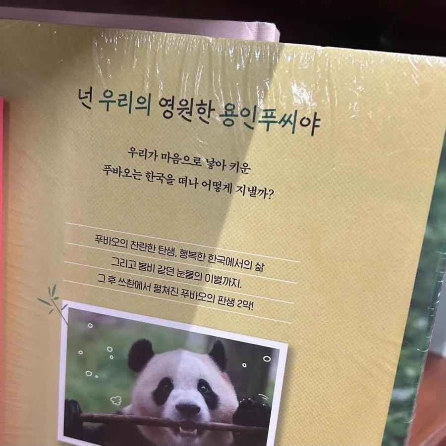 곰삣삐 넌 영원한 우리들의 푸씨야_1.webp