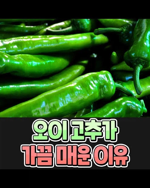 1% 확률로 독이 있는 작물_1.webp