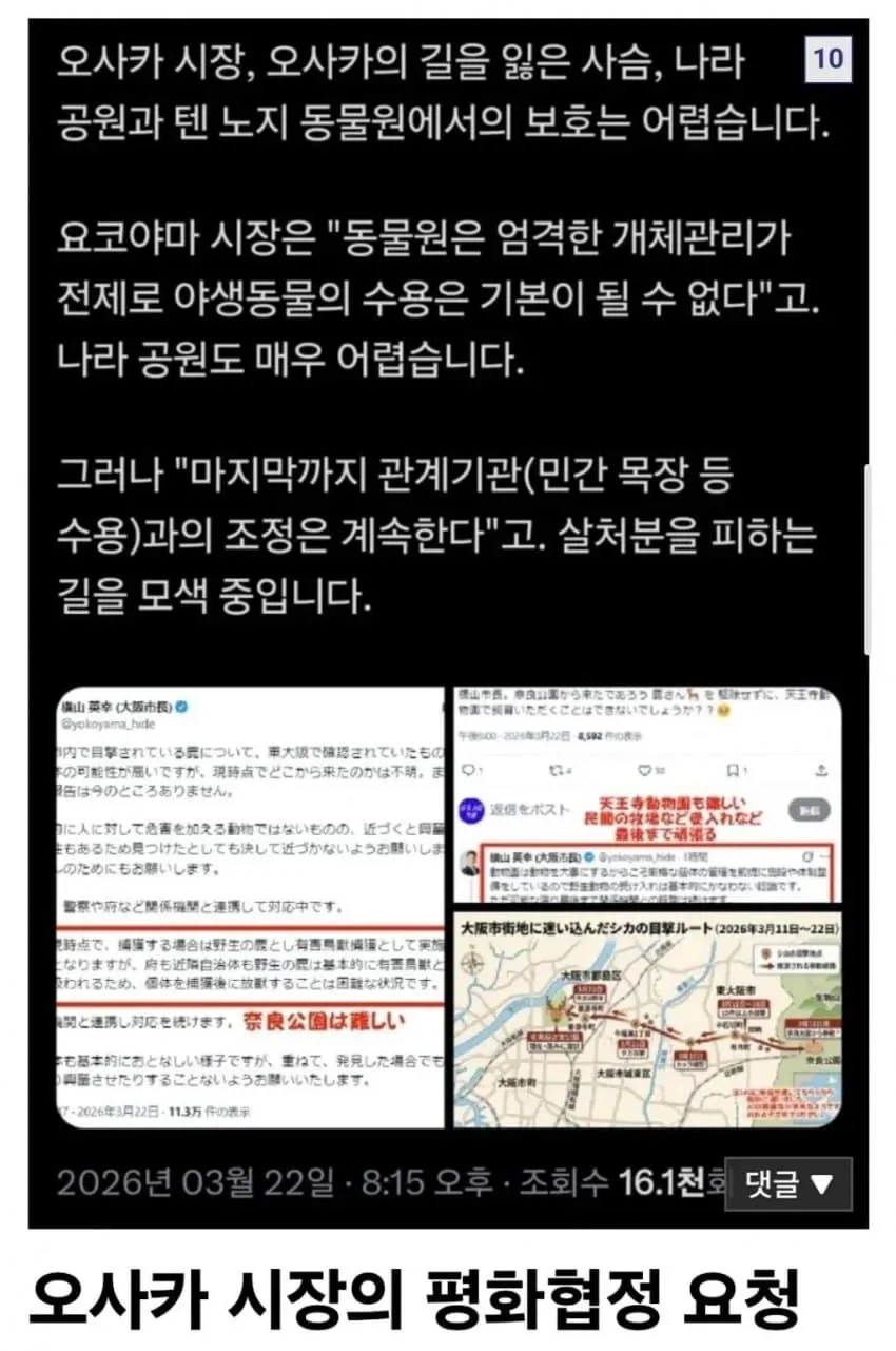 밀리터리) 노루군 VS 오사카시 전쟁 진행 상황도_6.webp