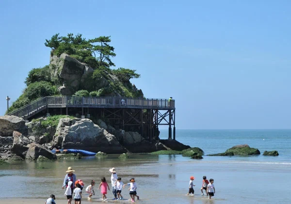 해외에서 부산을 꽉 찬 육각형 여행지로 주목하는 이유.jpg_6.webp