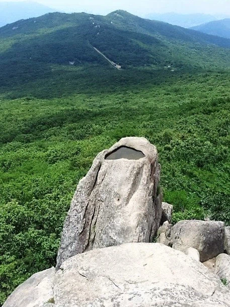 해외에서 부산을 꽉 찬 육각형 여행지로 주목하는 이유.jpg_8.webp