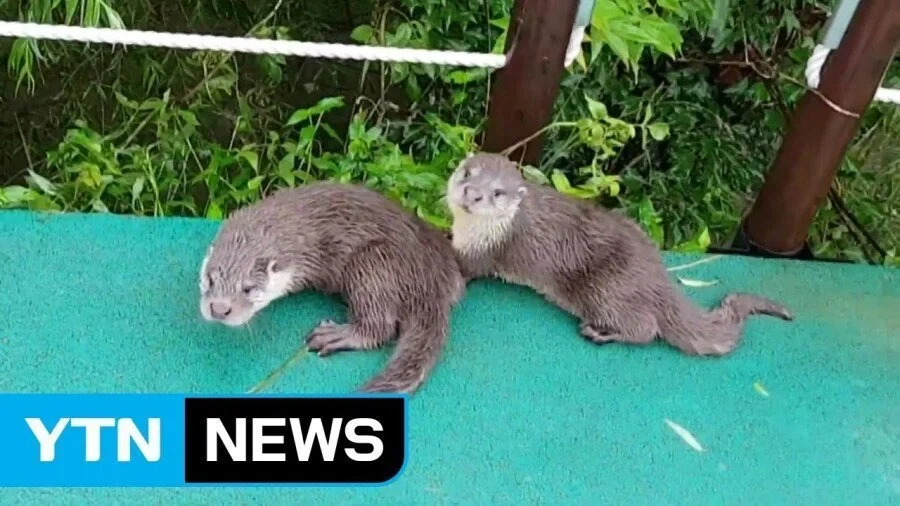 해외에서 부산을 꽉 찬 육각형 여행지로 주목하는 이유.jpg_12.webp