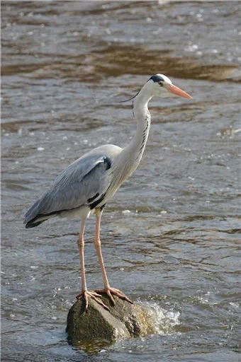 해외에서 부산을 꽉 찬 육각형 여행지로 주목하는 이유.jpg_13.webp