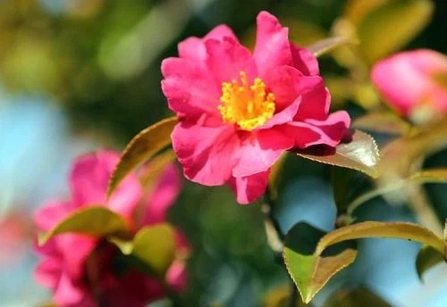 해외에서 부산을 꽉 찬 육각형 여행지로 주목하는 이유.jpg_17.webp