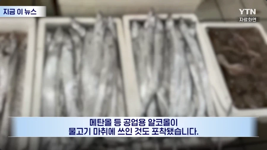 생선 마취제 때문에 난리 난 중국 근황_8.webp