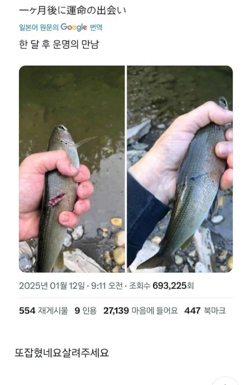 저는 한달 전 당신이 살려준 물고기입니다_1.webp