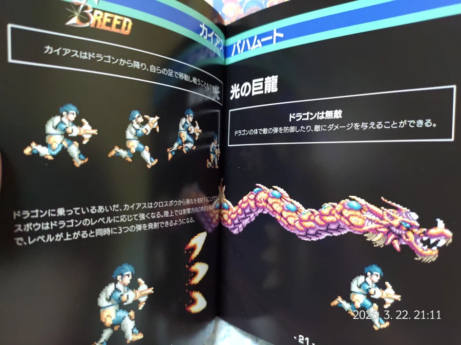 아이렘 컬렉션 vol.3_12.webp