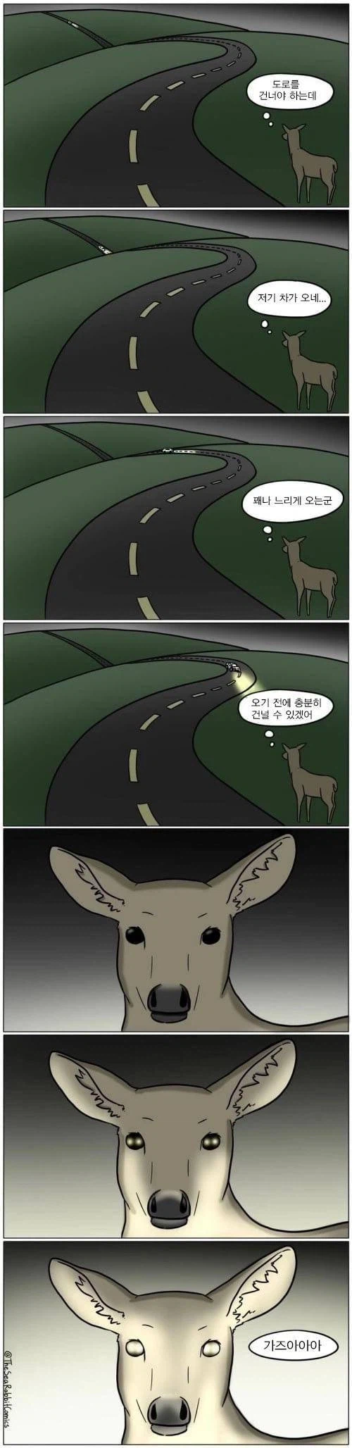 고라니의 시점 변화_2.webp