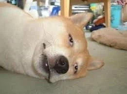 솔로가 된지 7-8년째..... 연애라는 게 뭘까...._1.webp