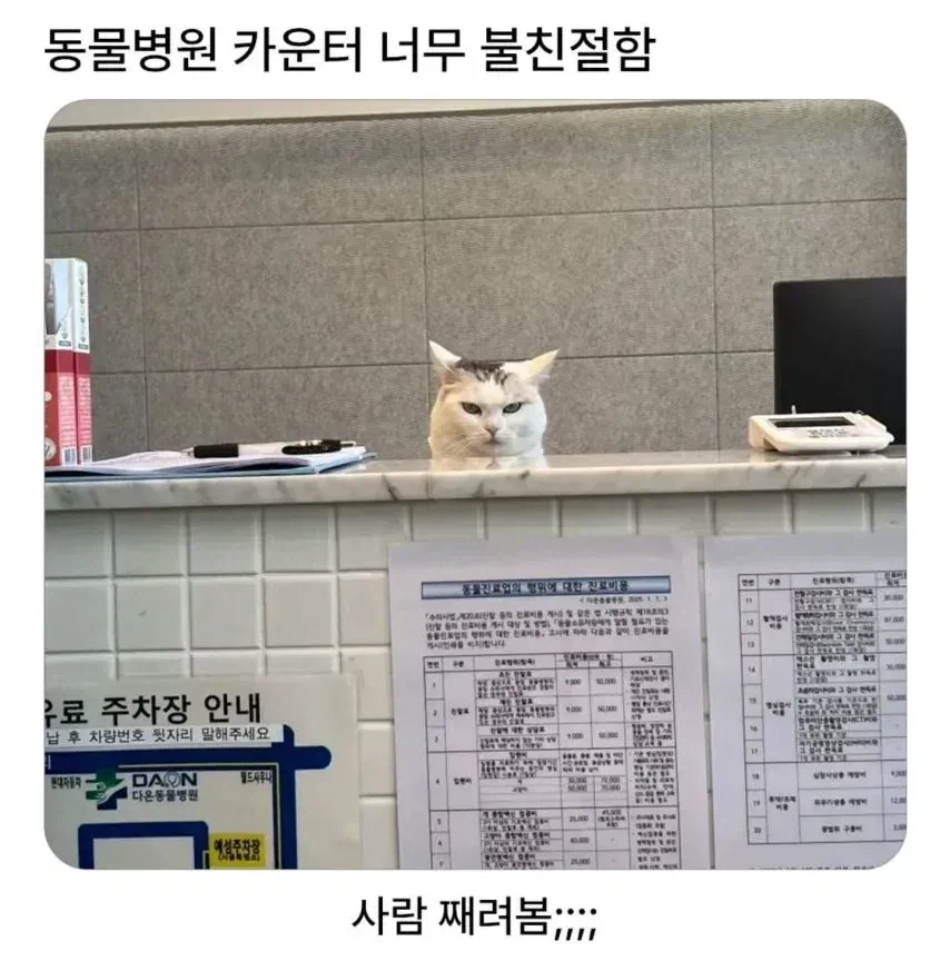동물병원 직원이 진상 같다.jpg_1.webp
