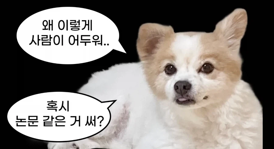 한국공식 플리 파는 채널_5.webp