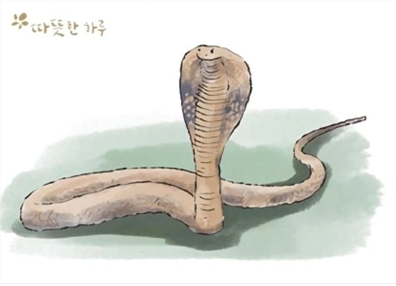 코브라 효과 (Cobra effect) jpg._1.webp