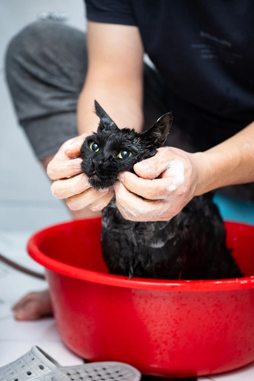 2일째 못자고 있는 40대 근황.._5.webp