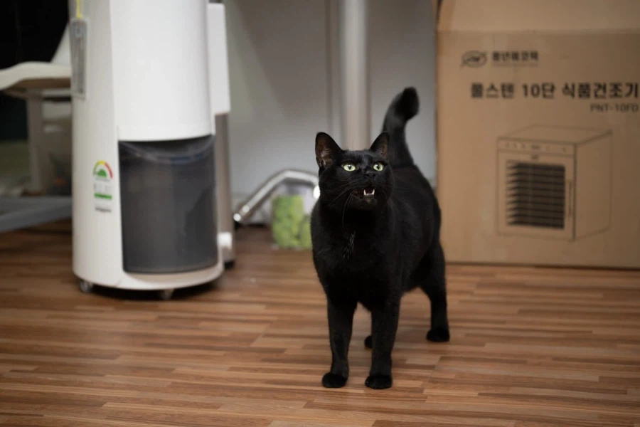 2일째 못자고 있는 40대 근황.._9.webp