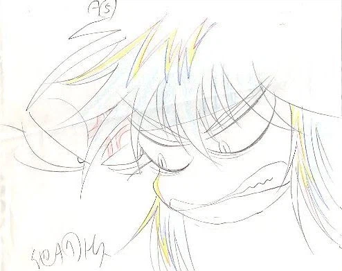 고쿠도군만유기 작화_17.webp