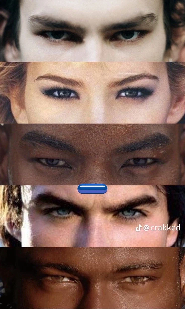 미국에서 전통적으로 예전부터 선호하던 눈.jpg_5.webp