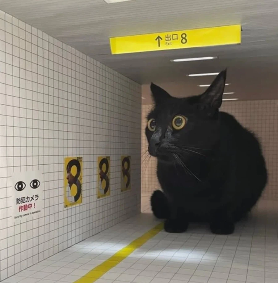 의외로 8번 출구에서 등장한다는 이변_1.webp