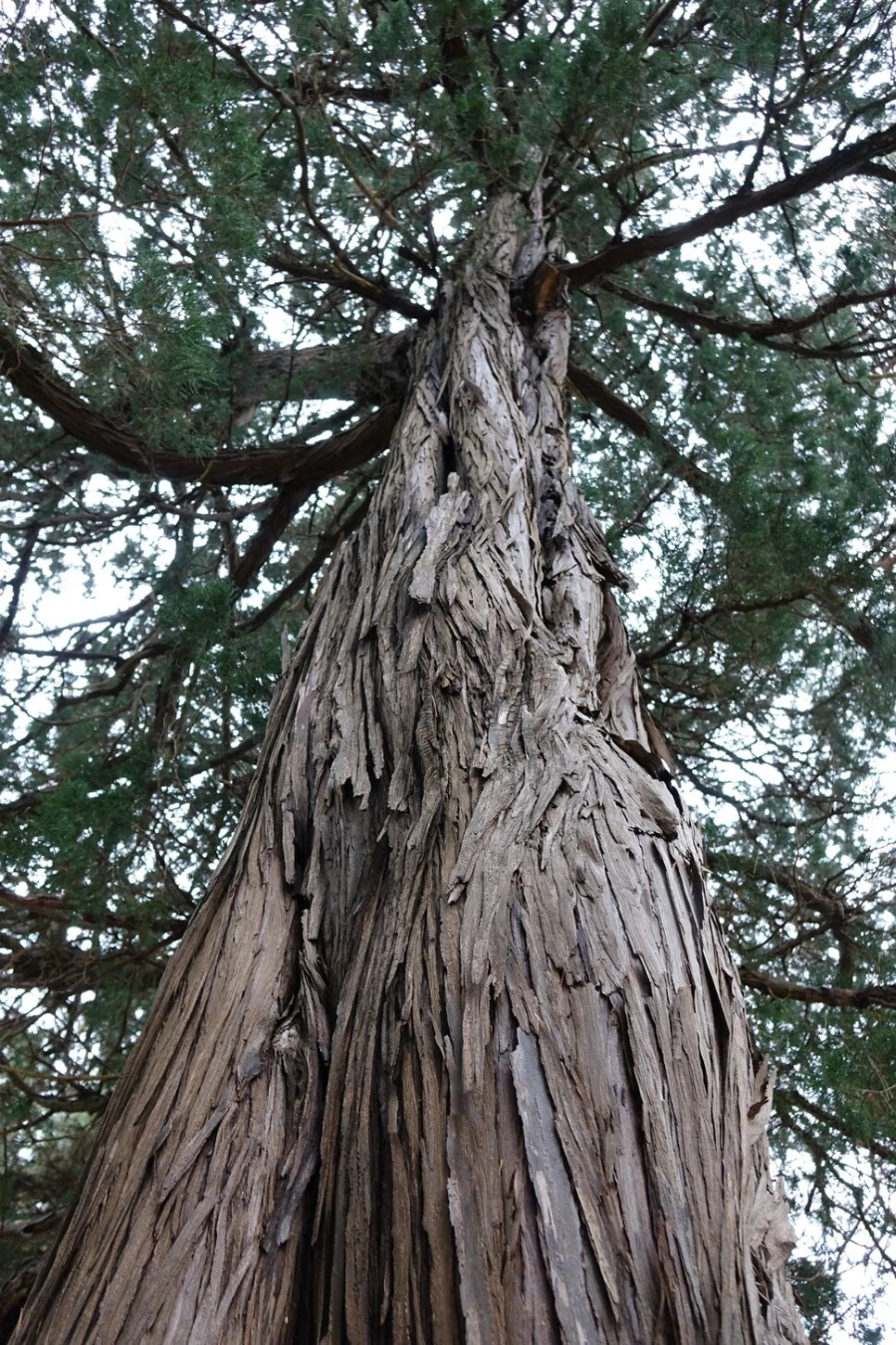 괴담) 우연의 일치_1.webp