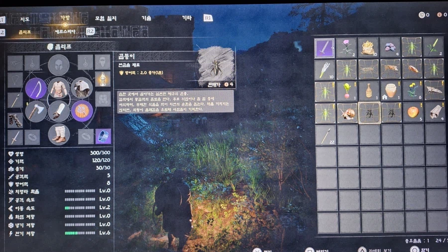 어제 붉은사막 하자마자, 곤충 채집부터 시작했어요^^_3.webp