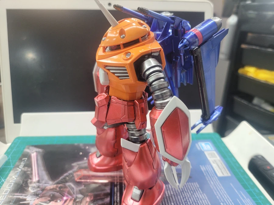 (초보도색)[HG]즈고크(시드 프리덤 버전)입니다._5.webp