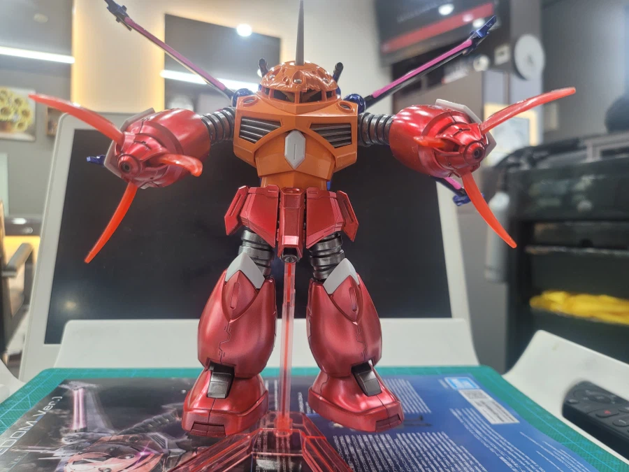 (초보도색)[HG]즈고크(시드 프리덤 버전)입니다._13.webp