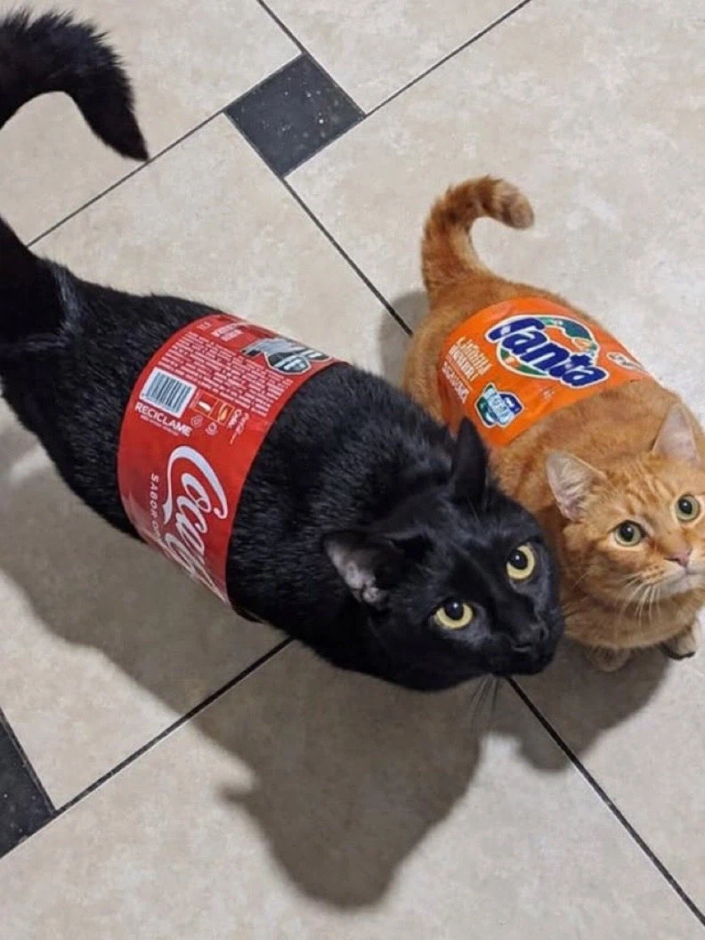 주인 천잰데.._1.webp