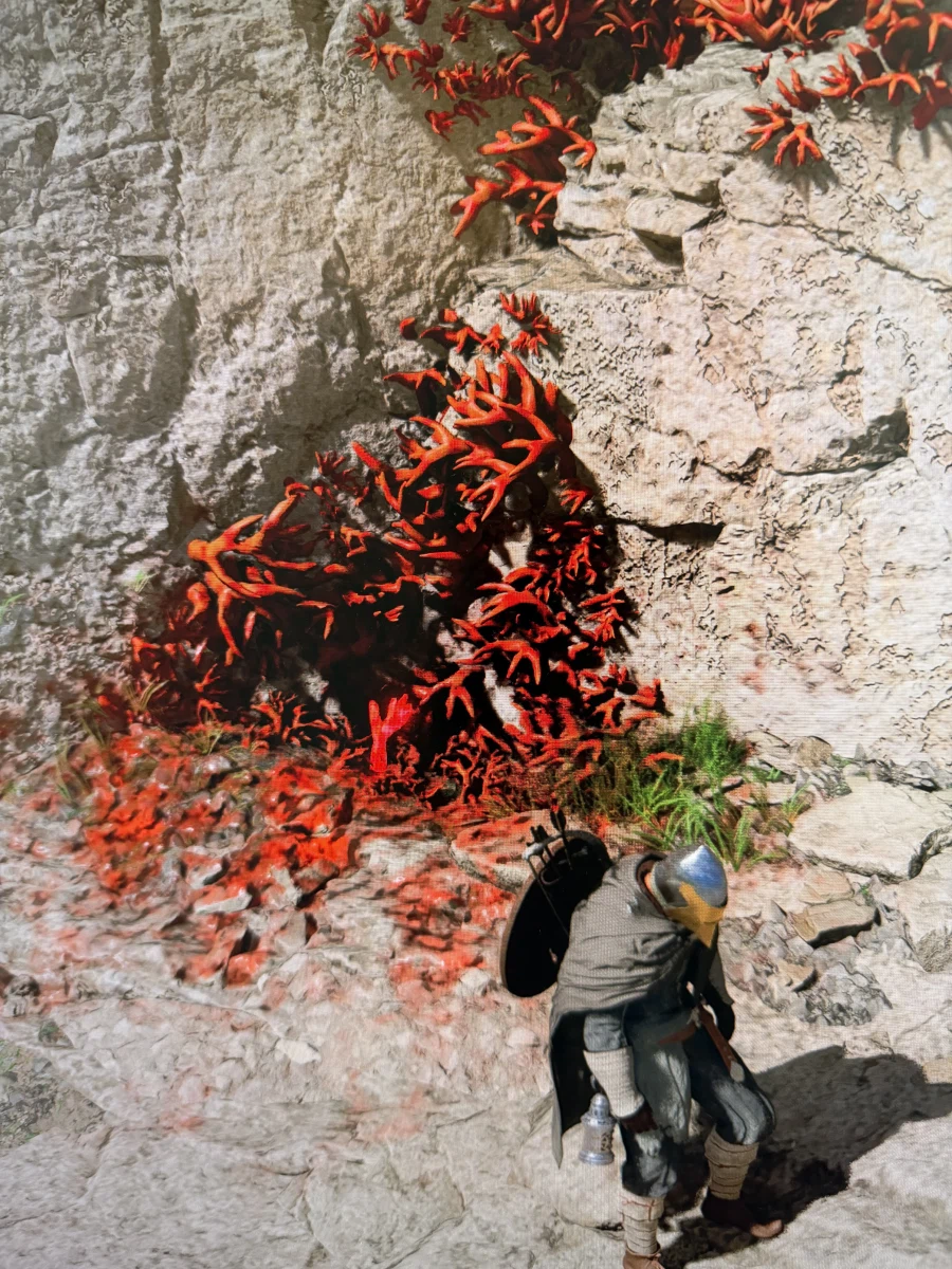 이 빨간거 뭘까요.._1.webp