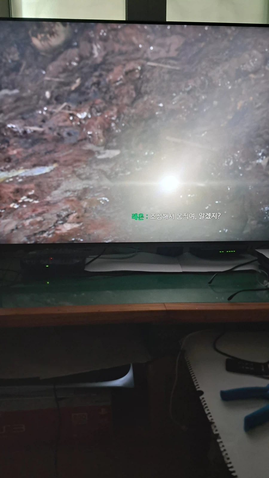 레온이 투명인간이 되는 버그가 있네요_3.webp