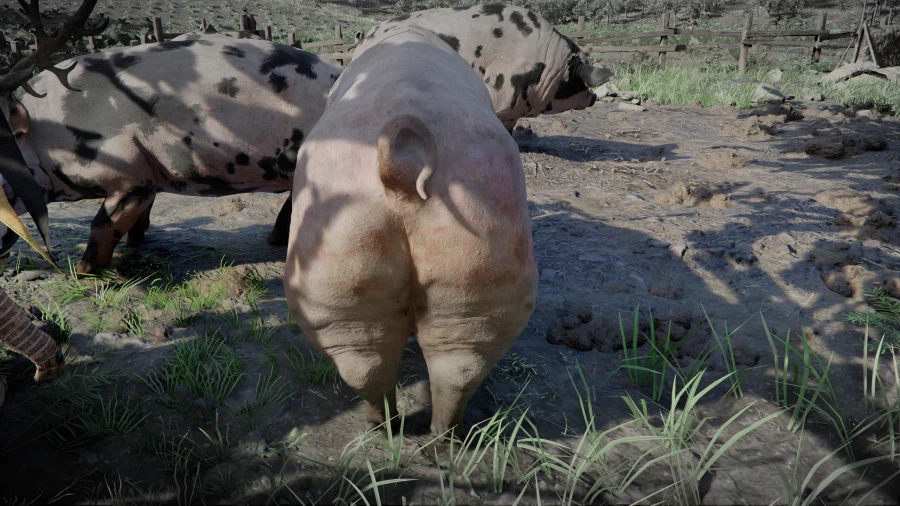 붉은사막)마침내 나와버린 그 모드_2.webp