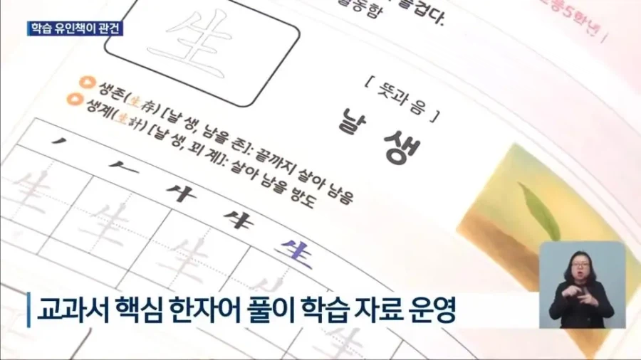 한문 교육을 강화하고 있는 요즘 학교들_4.webp
