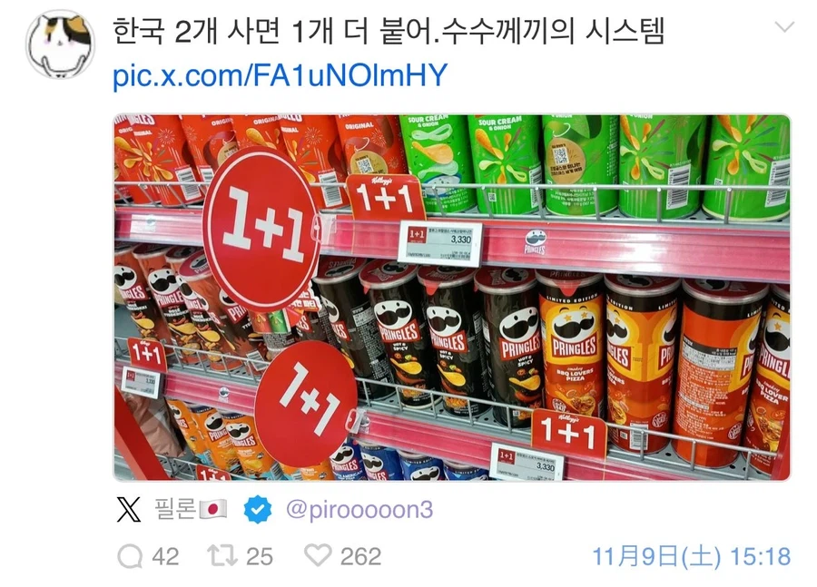 전설로 남은 혐한 넷우익의 한국 관광 일지.jpg_11.webp