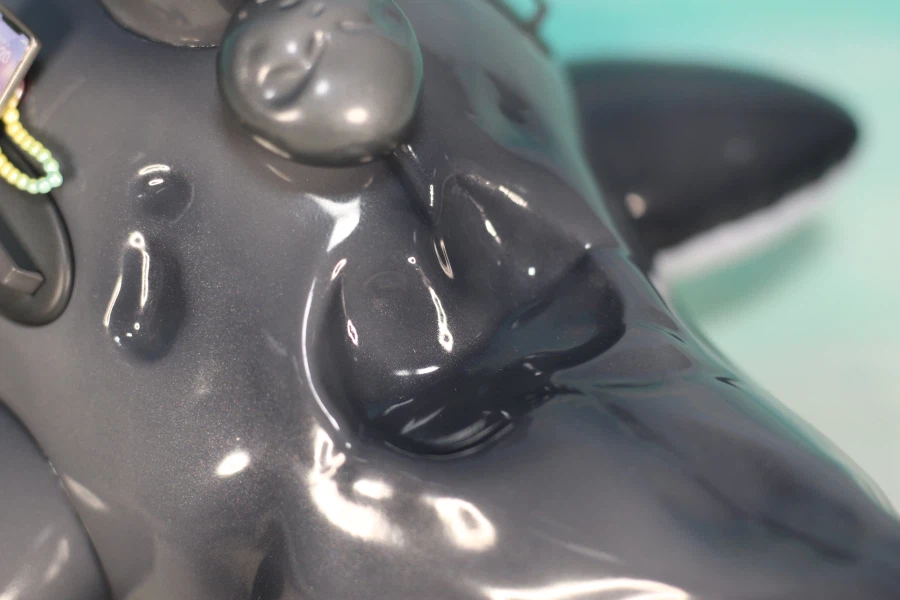 [APEX] 벽람항로 앵커리지 돌핀 블루 레슨 ver._50.webp