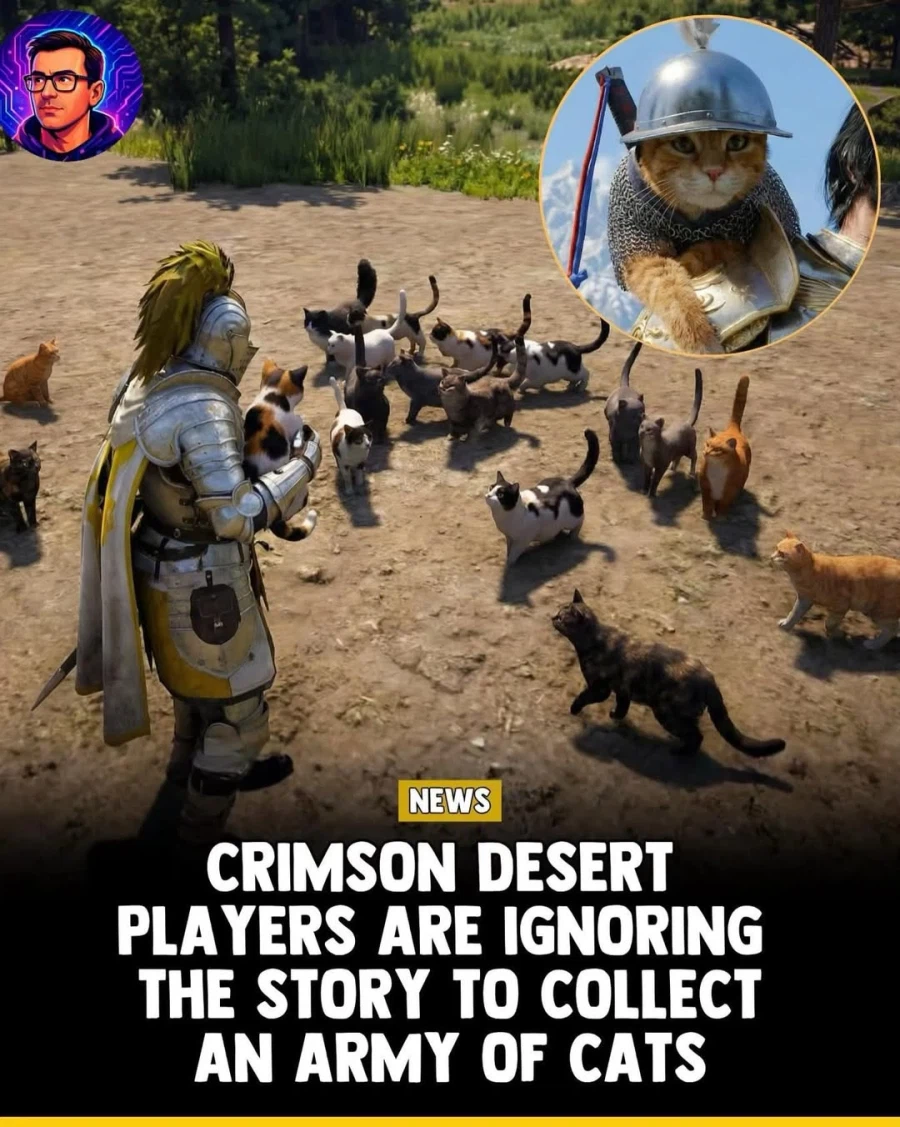 붉은 사막 플레이어들은 스토리는 무시하고 고양이 군대를 모으고 있다!!_1.webp