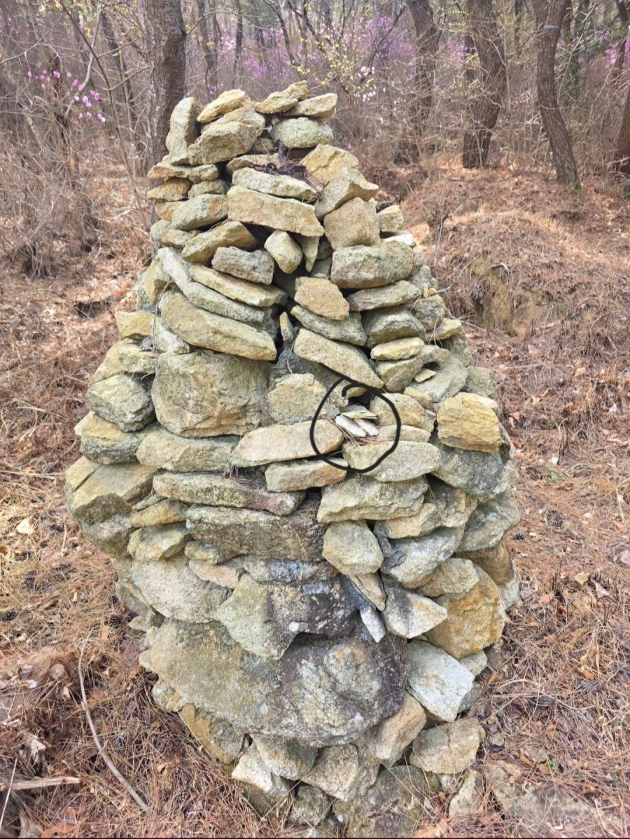 뒷산 갔다가 돈 50만원 주웠다는 디시인.jpg_2.webp