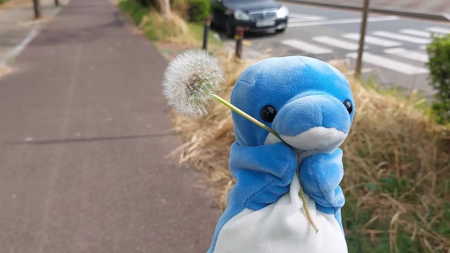 봄이 찾아왔어요!_10.webp