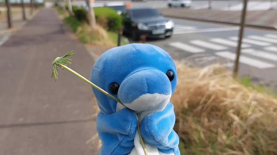 봄이 찾아왔어요!_12.webp