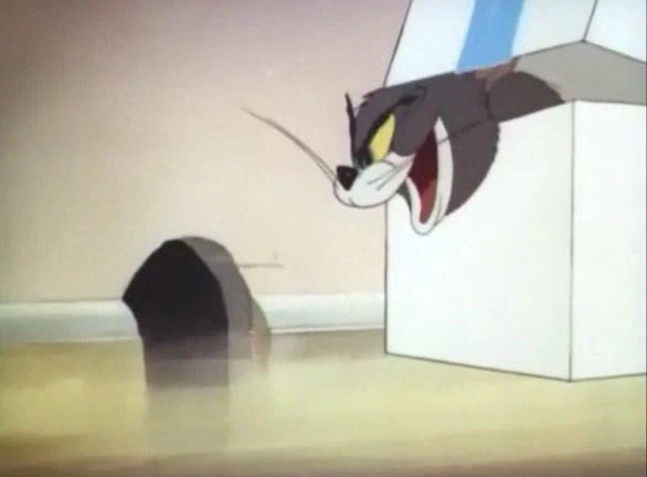 옛날 톰과제리 수위 (혐주의)_5.webp