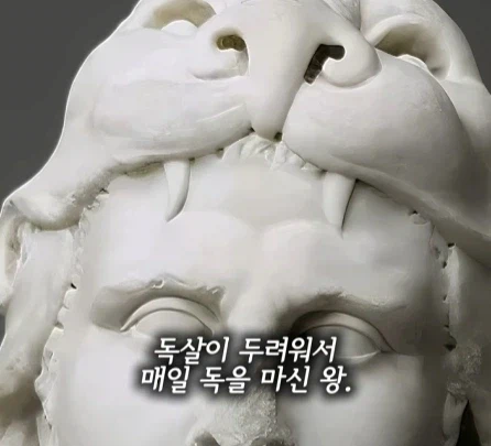 매일 독을 마신 왕.jpg_1.webp