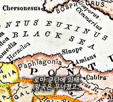 매일 독을 마신 왕.jpg_12.webp