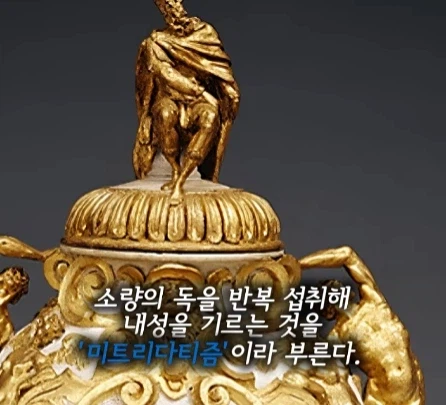 매일 독을 마신 왕.jpg_20.webp