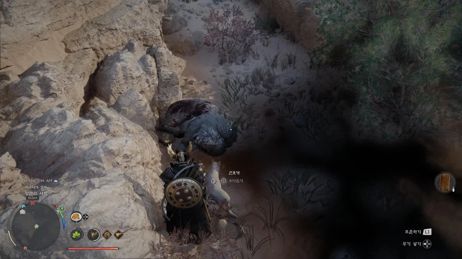 전설의 백사자???_2.webp