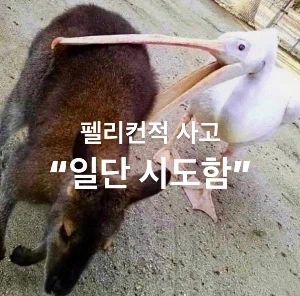 갑자기 뭔가 허무해져서 모바게 계정 다 날림_1.webp